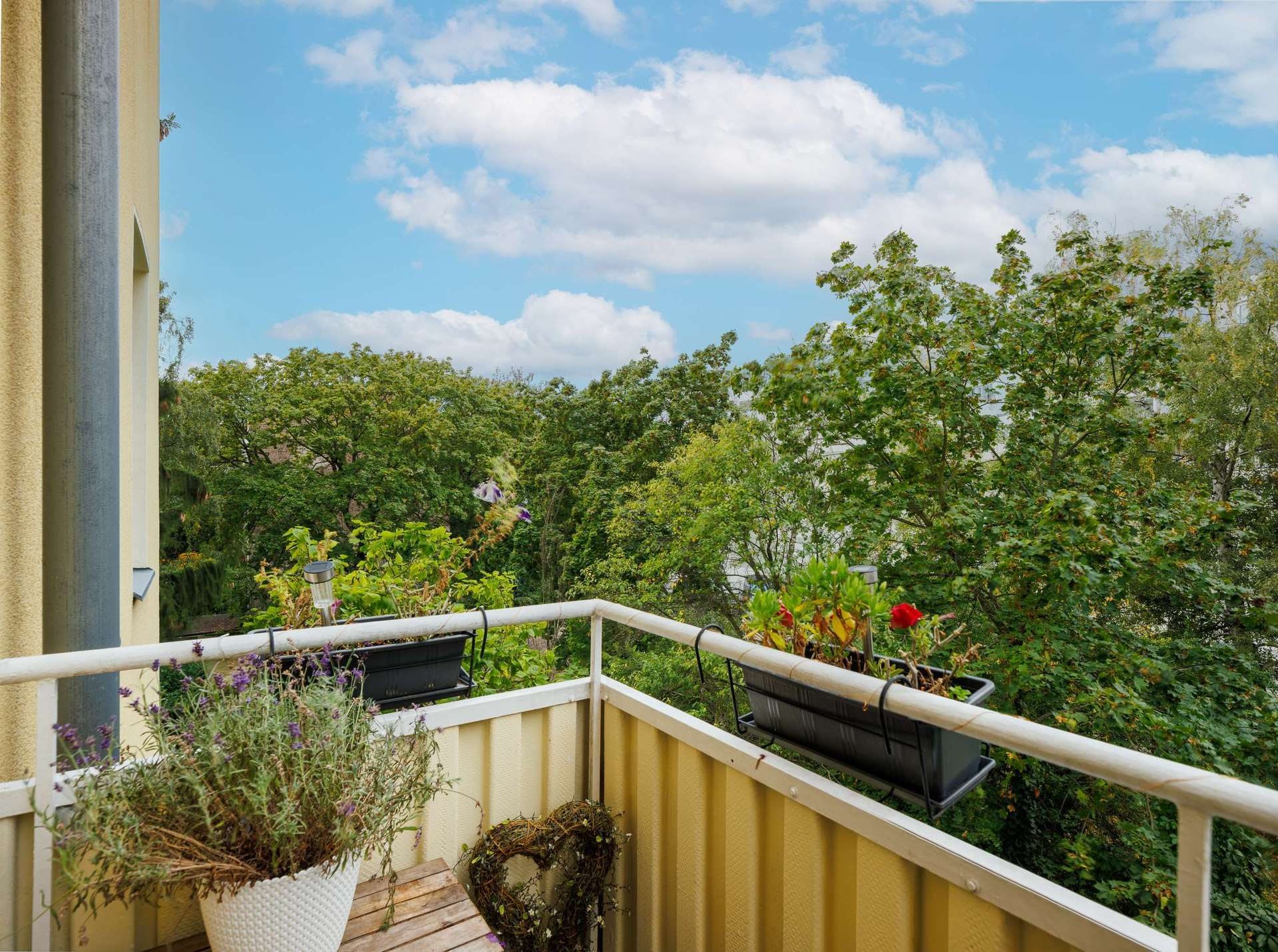 Ausblick vom Balkon